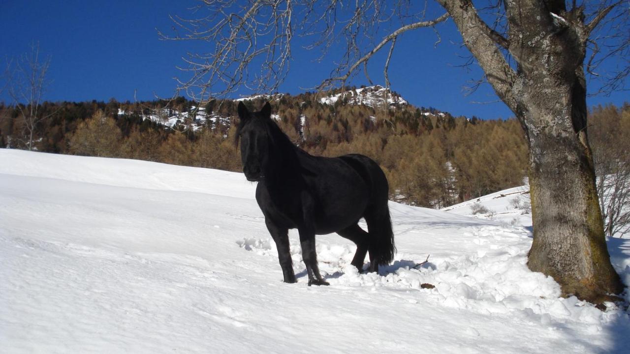 B & B La Guiette คาสเตลเดลฟิโน ภายนอก รูปภาพ
