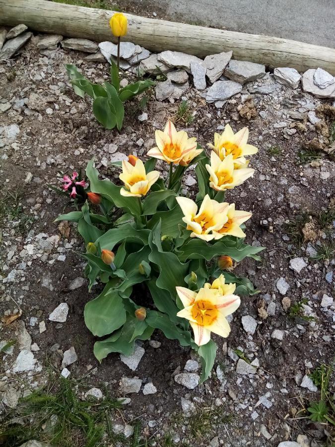 B & B La Guiette คาสเตลเดลฟิโน ภายนอก รูปภาพ
